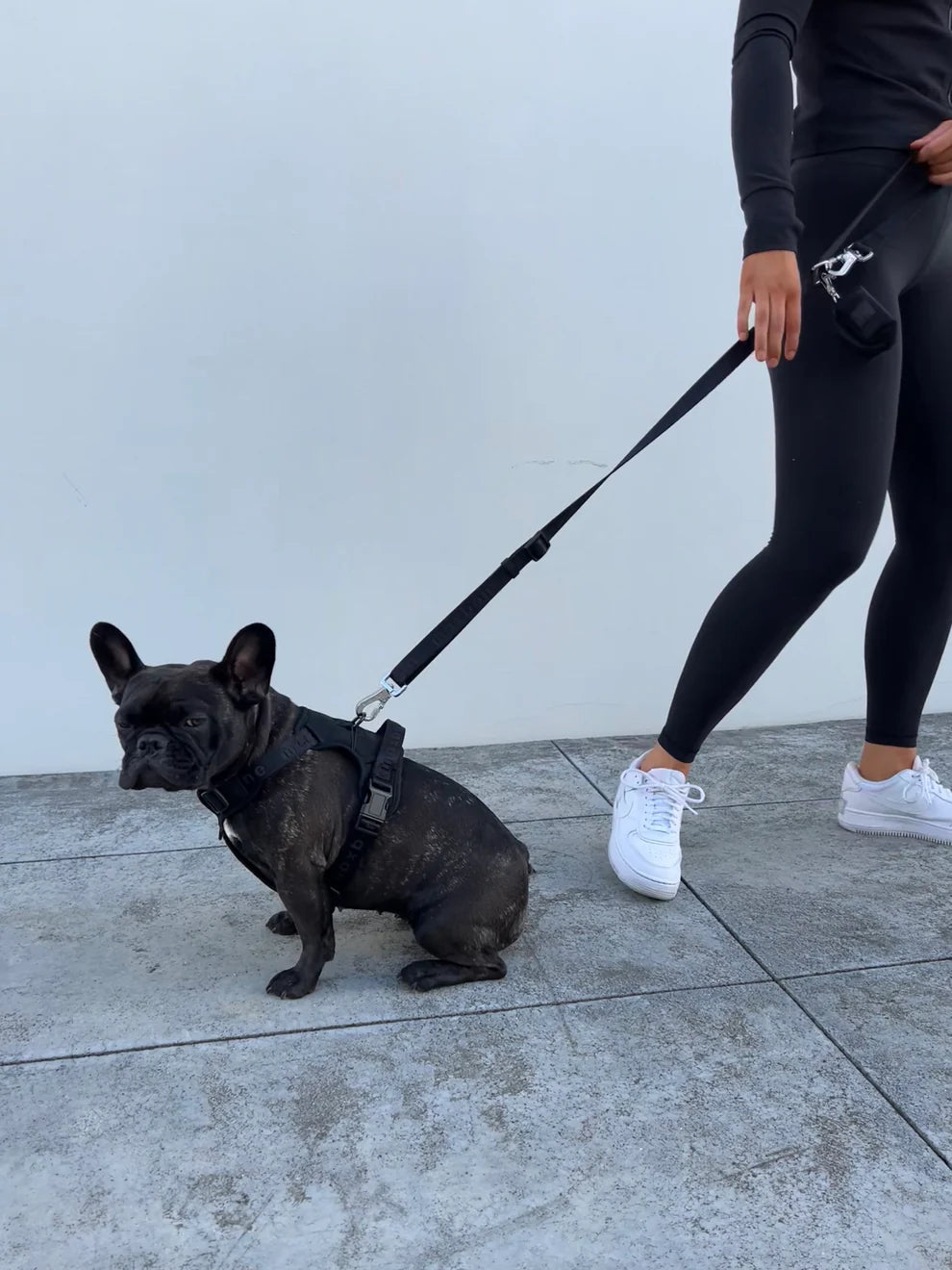 Easy Fit Harness beisli- Svart