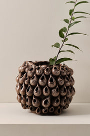 Blowfish vasi, 31 cm- Súkkulaðibrúnn