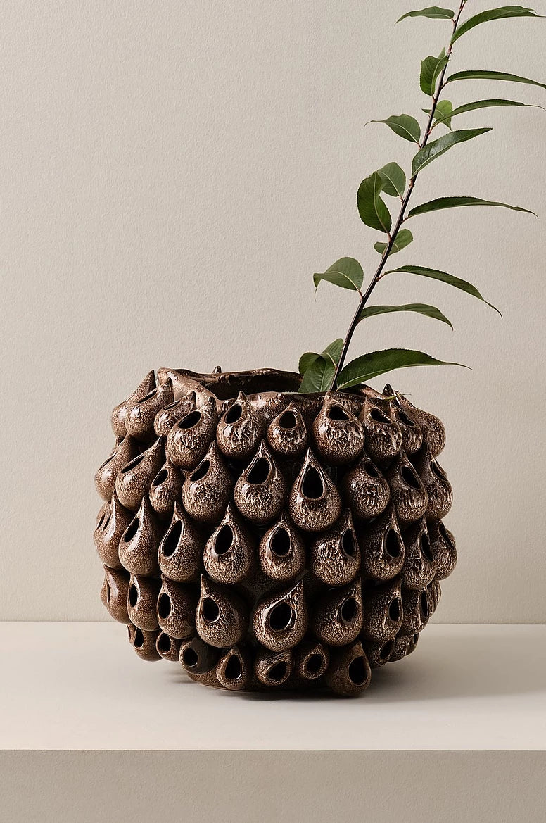 Blowfish vasi, 31 cm- Súkkulaðibrúnn