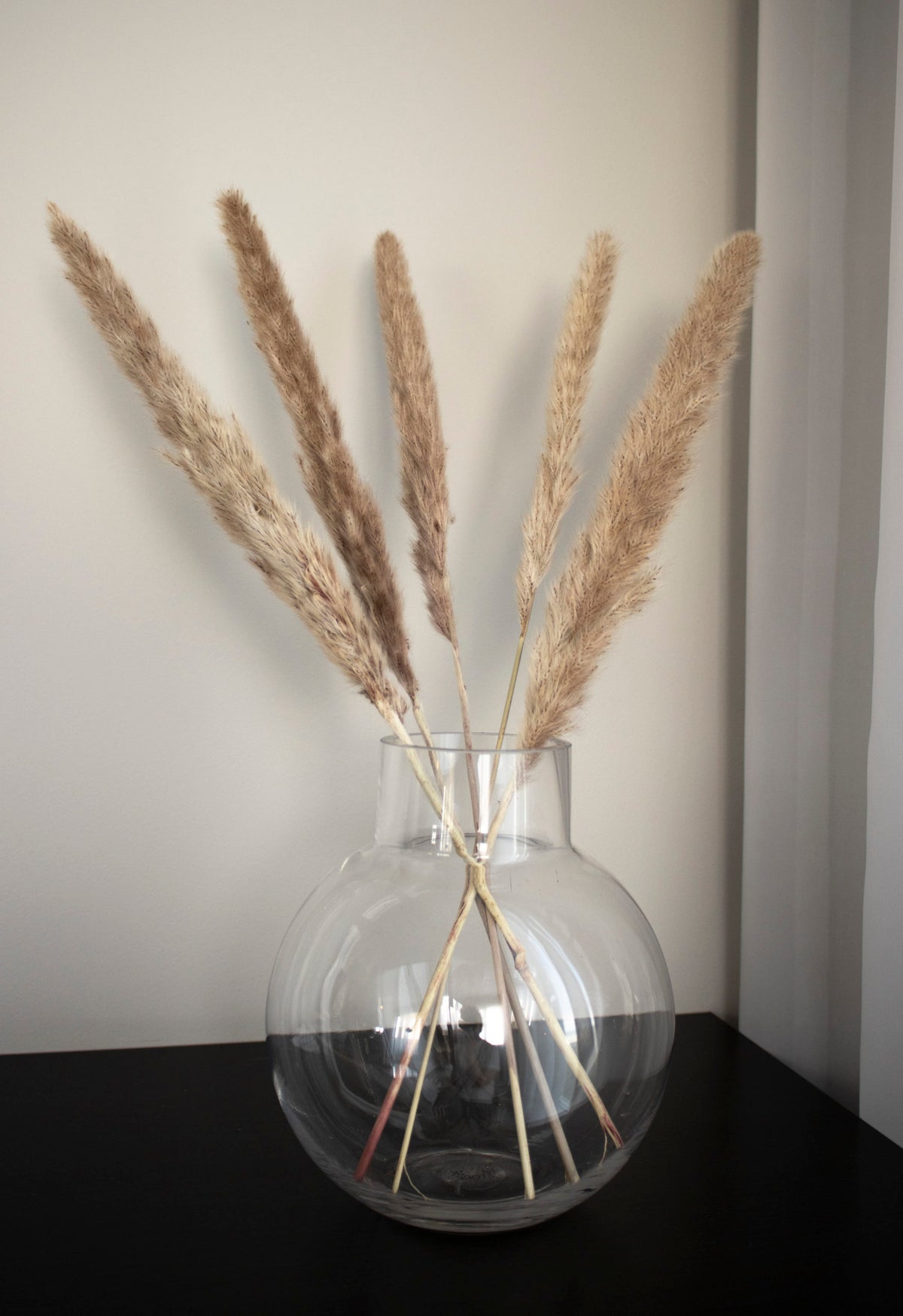 Pampas strá minni, vöndur- Brún