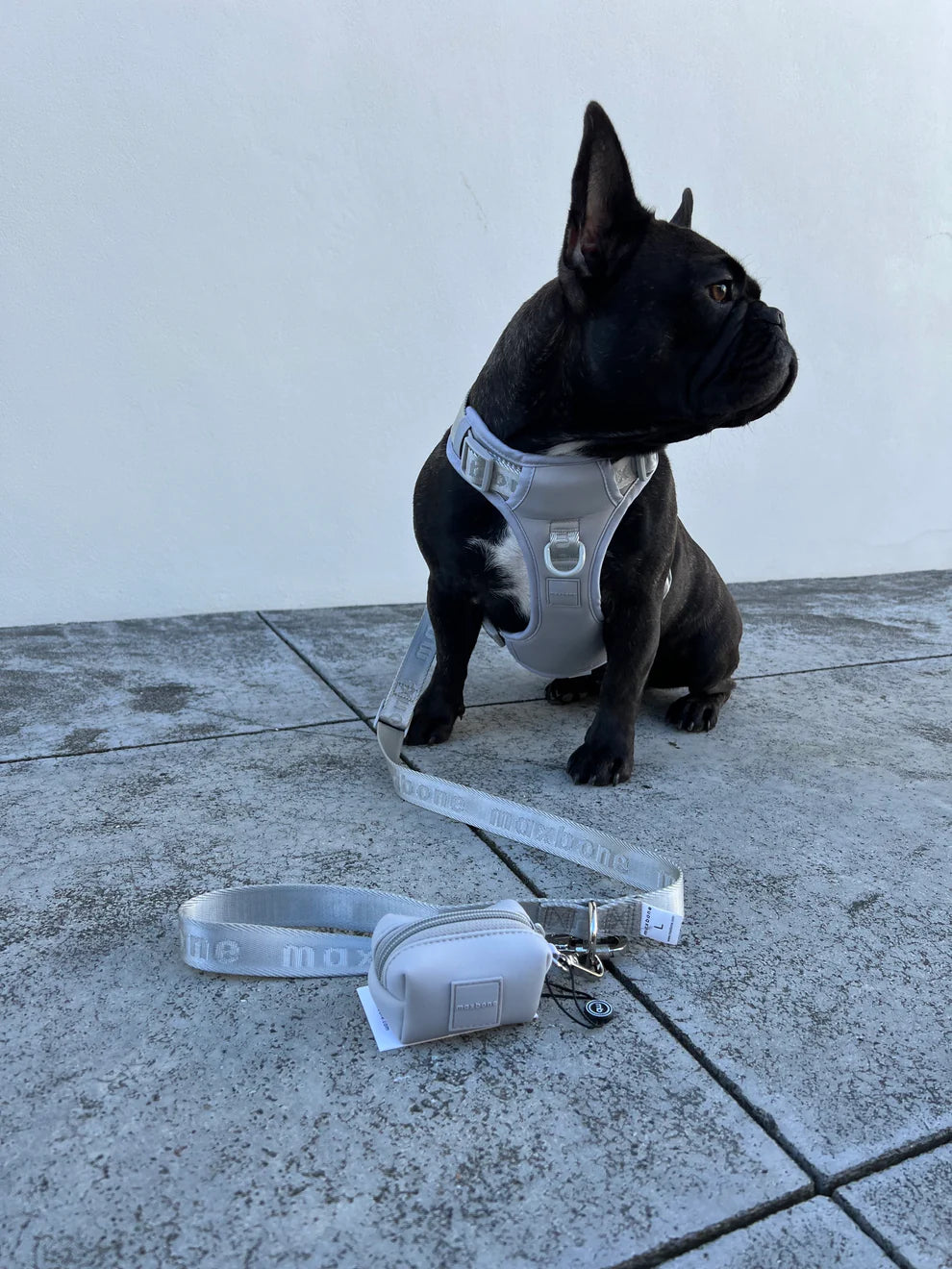 Easy Fit Harness beisli- Camel