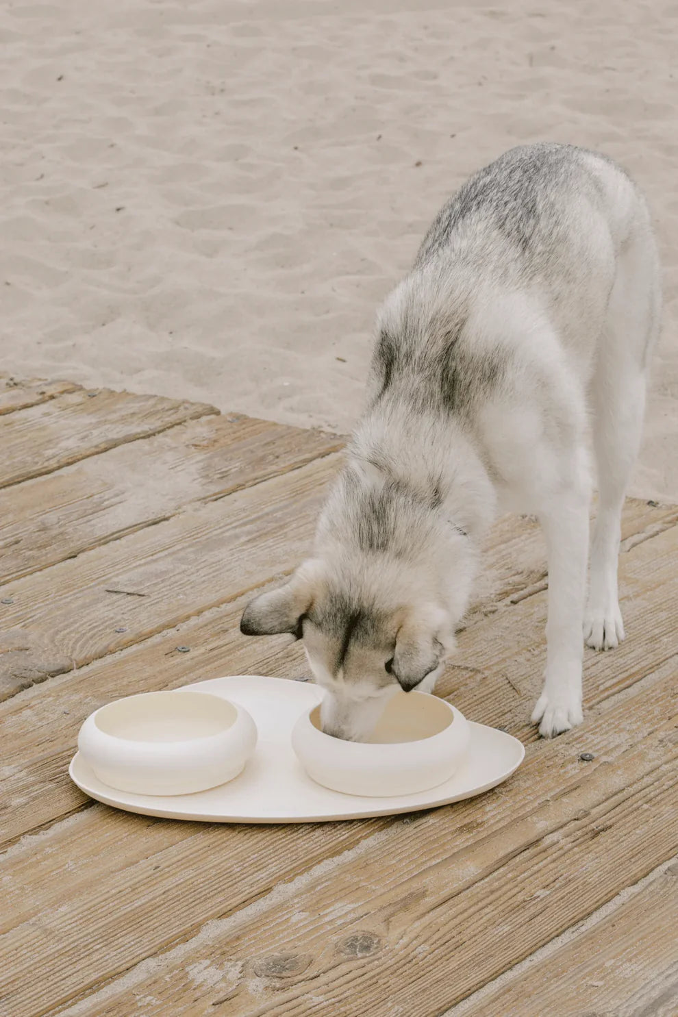 Bubble Bowls matarskálar og motta
