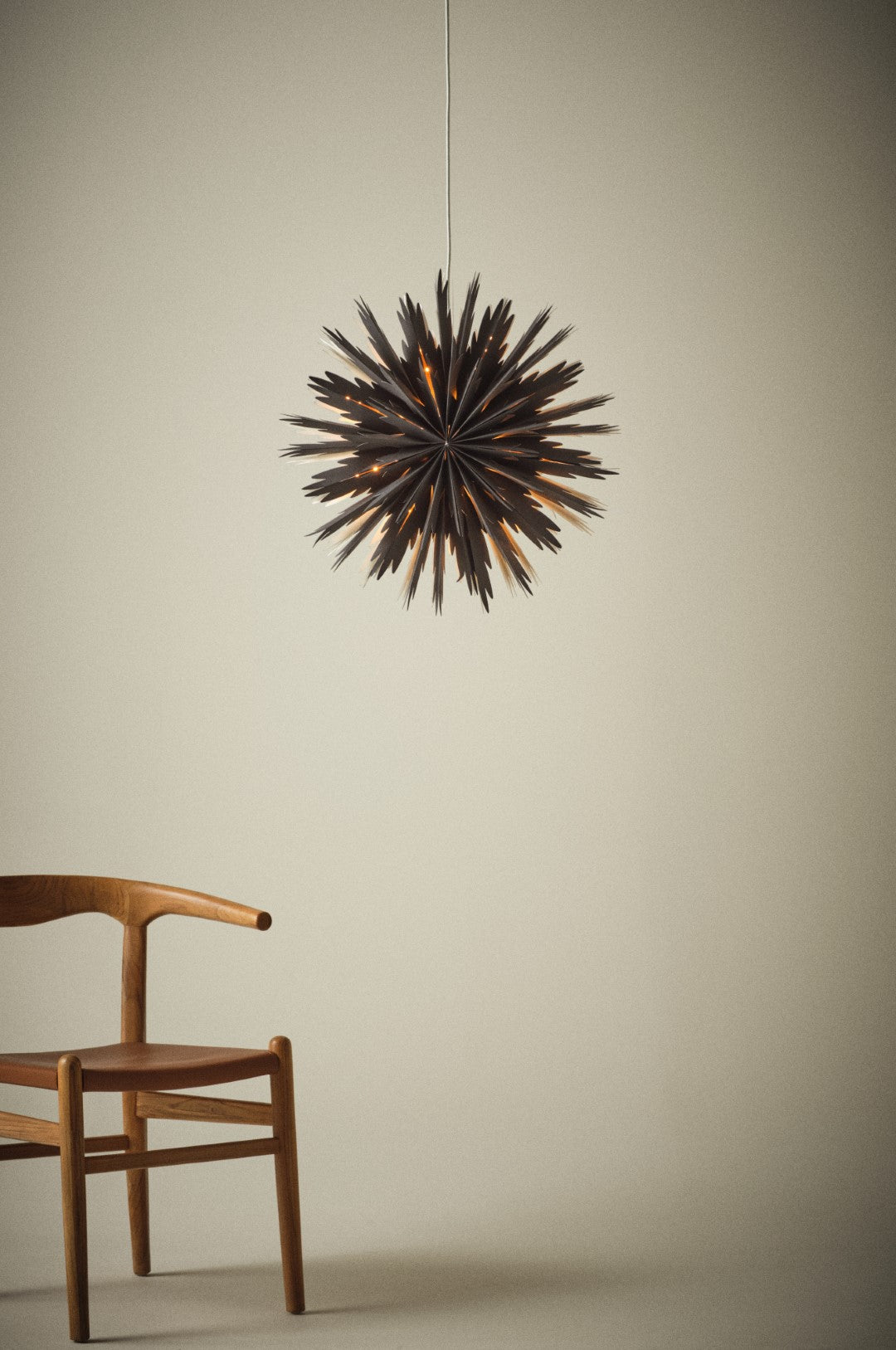 2f1- Bellatrix Jólastjarna - Svört 51 cm
