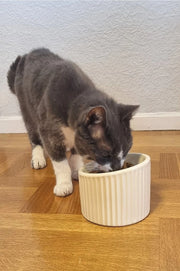 Slurp Hunda/katta fóðurskál