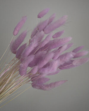 Strá Vöndur - Fjólublár