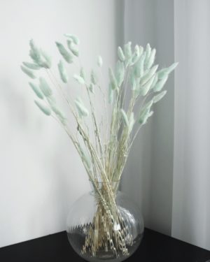 Strá Vöndur - Sægrænn