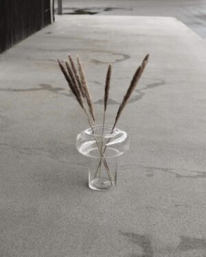 Pampas strá minni, vöndur- Brún