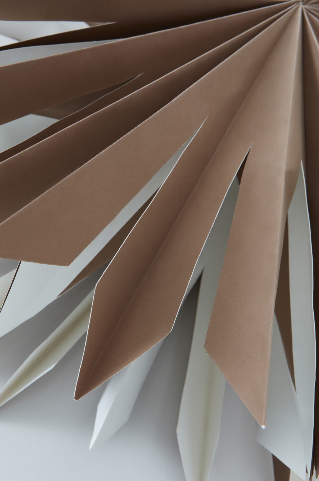 2f1- Sirius Jólastjarna - Brún 60 cm - Image 3