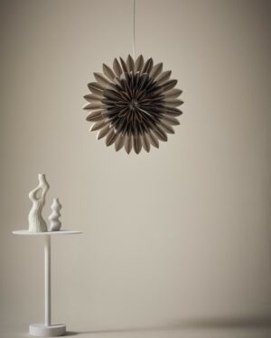 2f1- Canopus Jólastjarna - Brún 48 cm