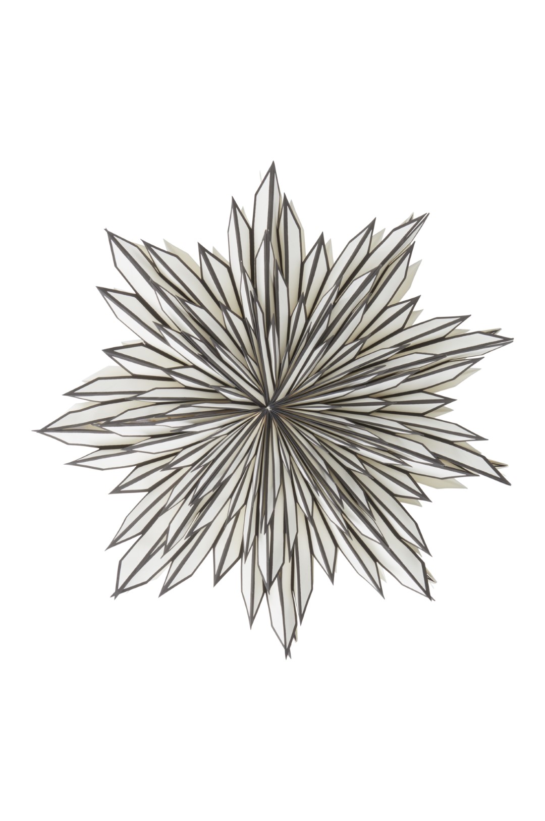 2f1- Shaula Jólastjarna - Svört 64 cm - Image 6