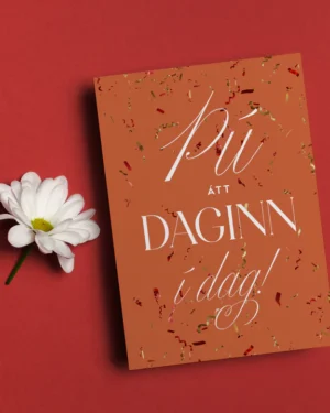 Tækifæriskort- Þú átt daginn!