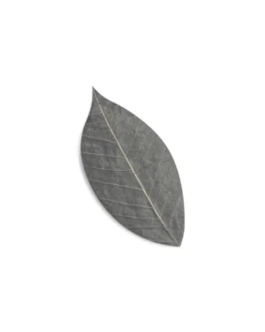 Stone soap spa Sápulaufblöð - Kókoskol