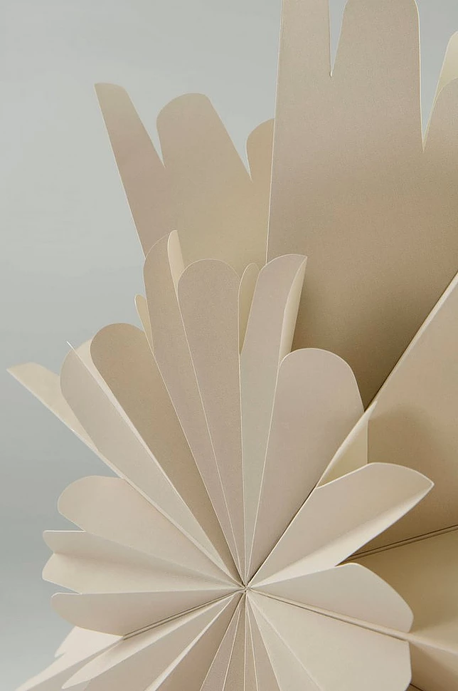 2f1- Alhena Jólastjarna - Beige 60 cm - Image 6