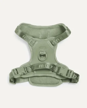 Easy Fit Harness beisli- Sage