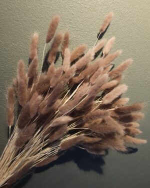 Strá Vöndur - Ljósbrúnn