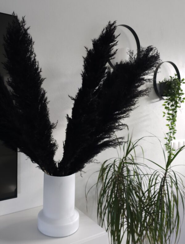 Pampas Strá - Svört Stór - Image 5
