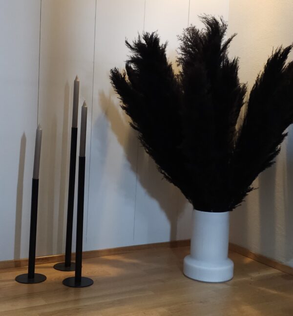 Pampas Strá - Svört Stór (4 stk)