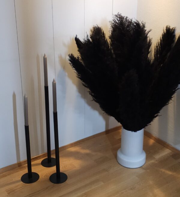 Pampas Strá - Svört Stór