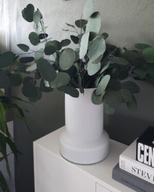 Eplalauf, vöndur- grænn