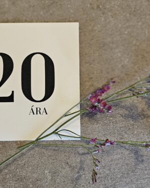 Tækifæriskort- 20 ára