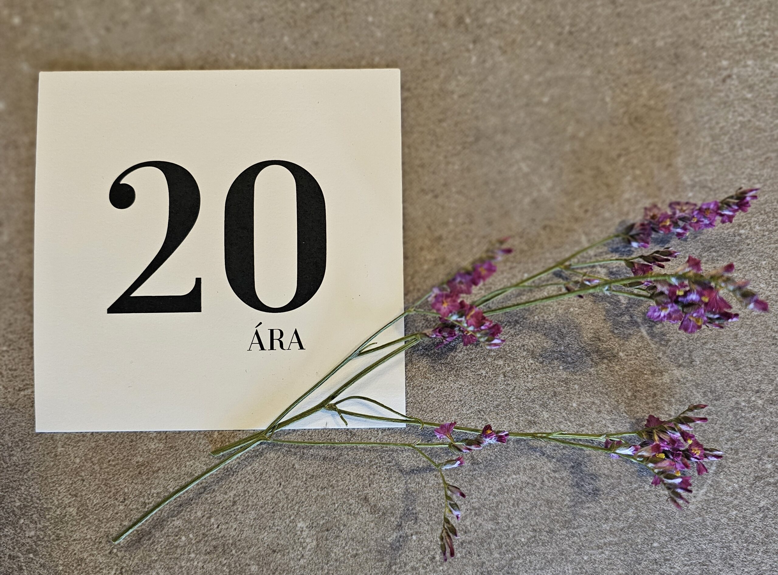 Tækifæriskort- 20 ára