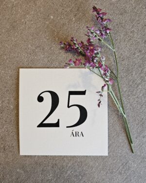 Tækifæriskort- 25 ára