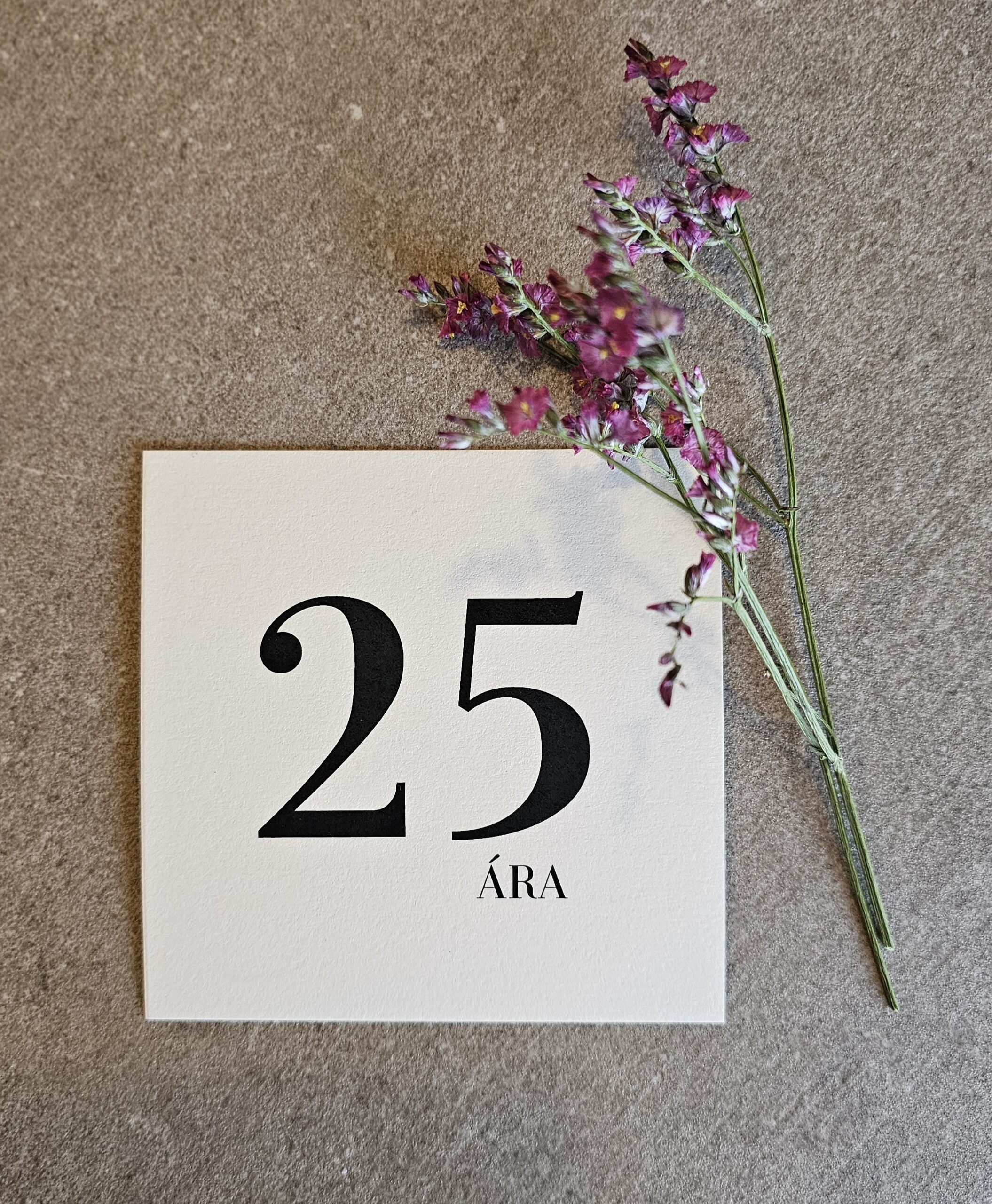 Tækifæriskort- 25 ára