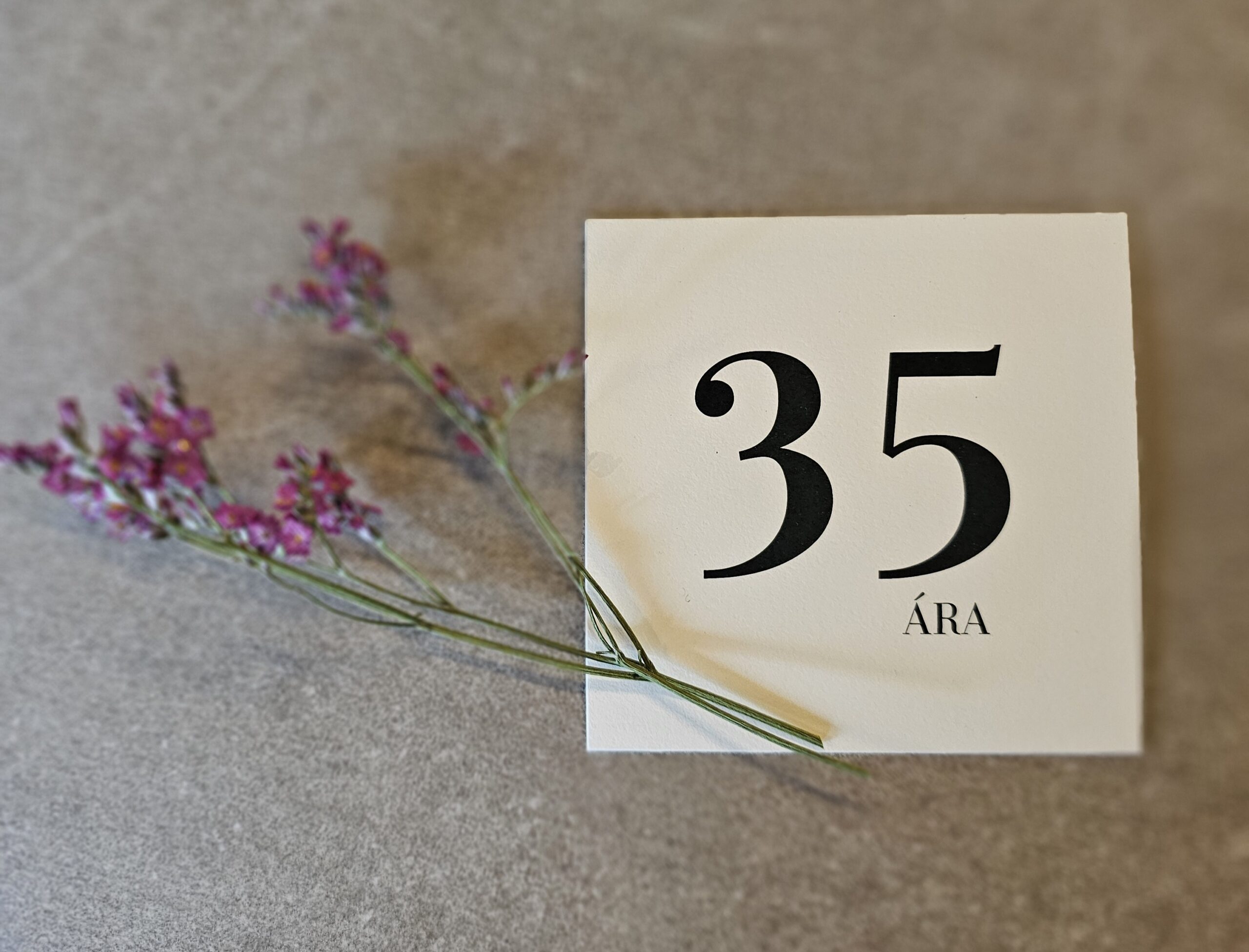Tækifæriskort- 35 ára