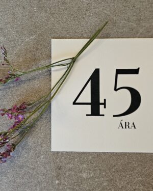 Tækifæriskort- 45 ára