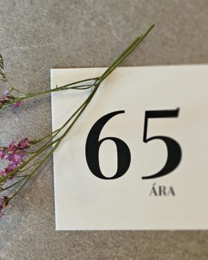 Tækifæriskort- 65 ára