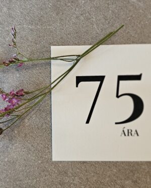 Tækifæriskort- 75 ára