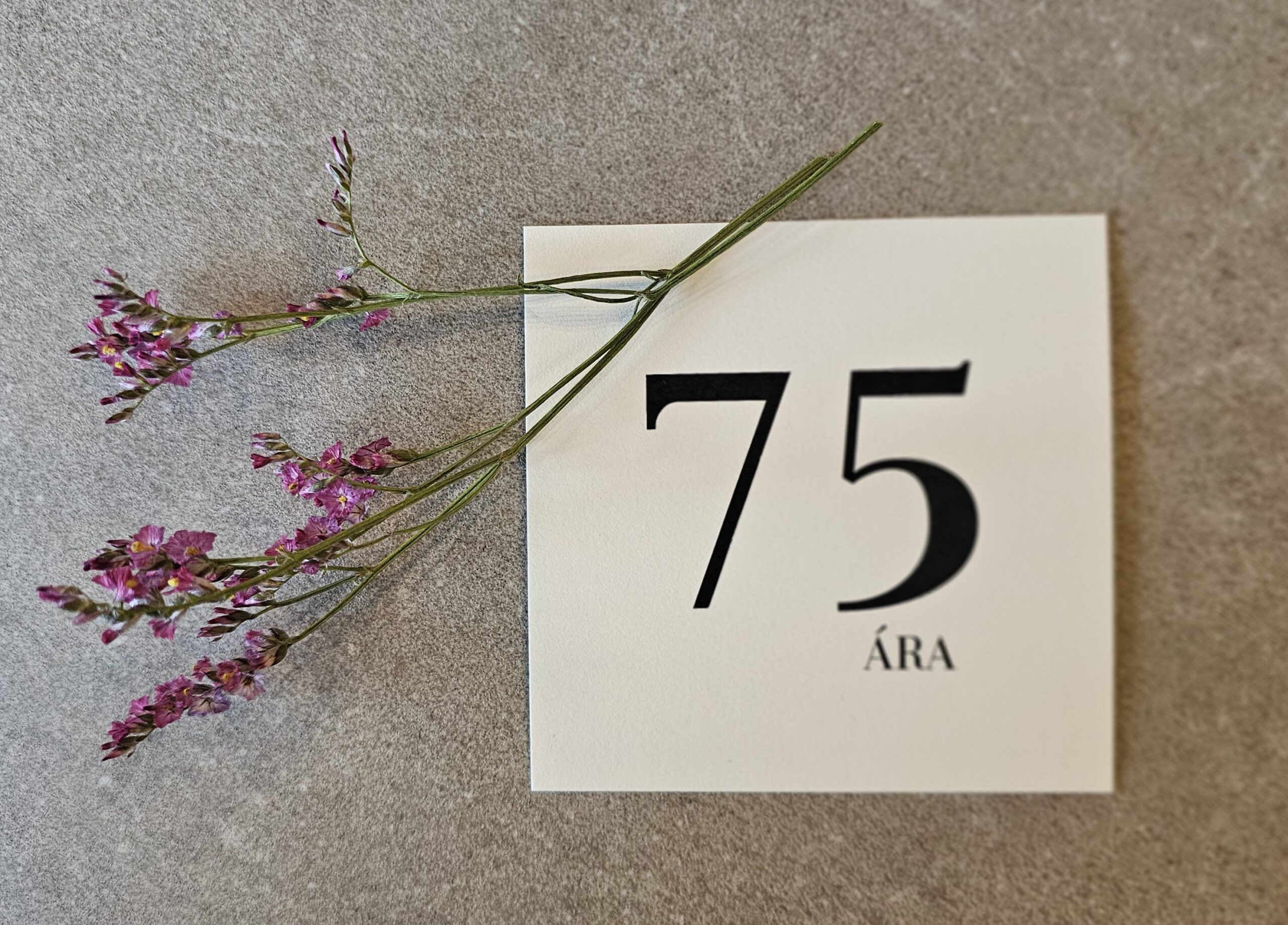 Tækifæriskort- 75 ára