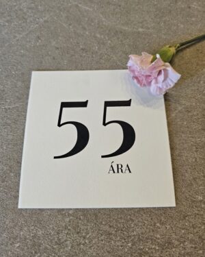 Tækifæriskort- 55 ára
